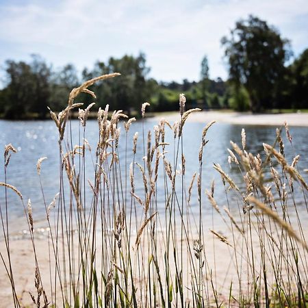 Ferienparadies Muehlenbach ゾルタウ エクステリア 写真