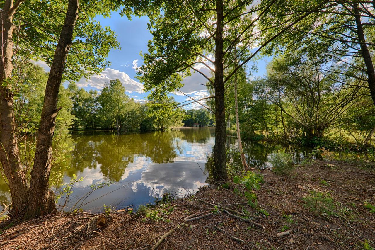 ホテル Ferienparadies Muehlenbach ゾルタウ エクステリア 写真