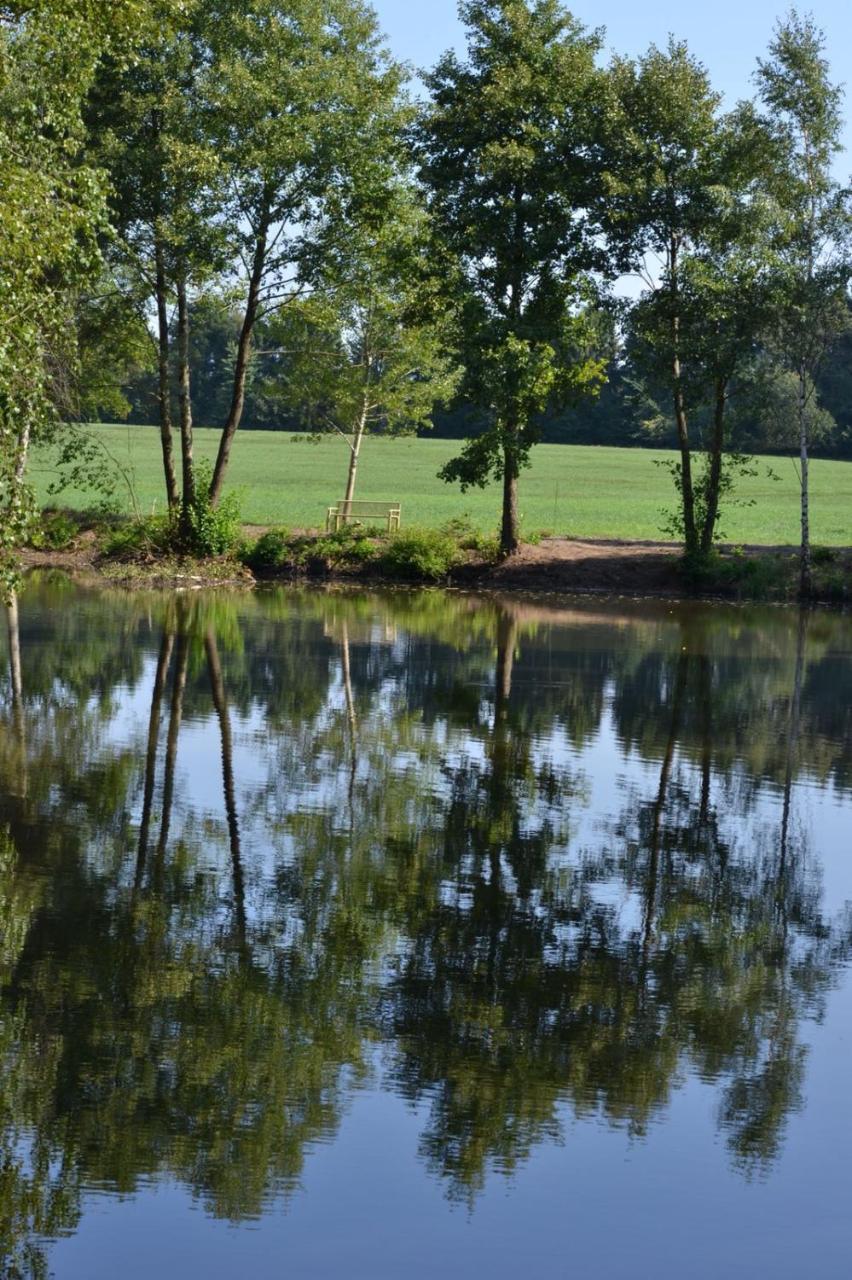 ホテル Ferienparadies Muehlenbach ゾルタウ エクステリア 写真