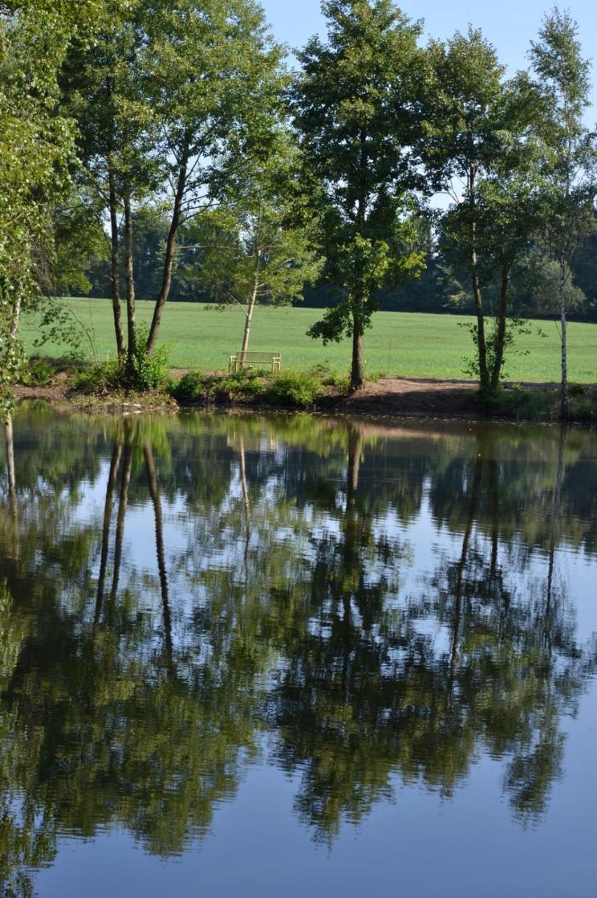 Ferienparadies Muehlenbach ゾルタウ エクステリア 写真