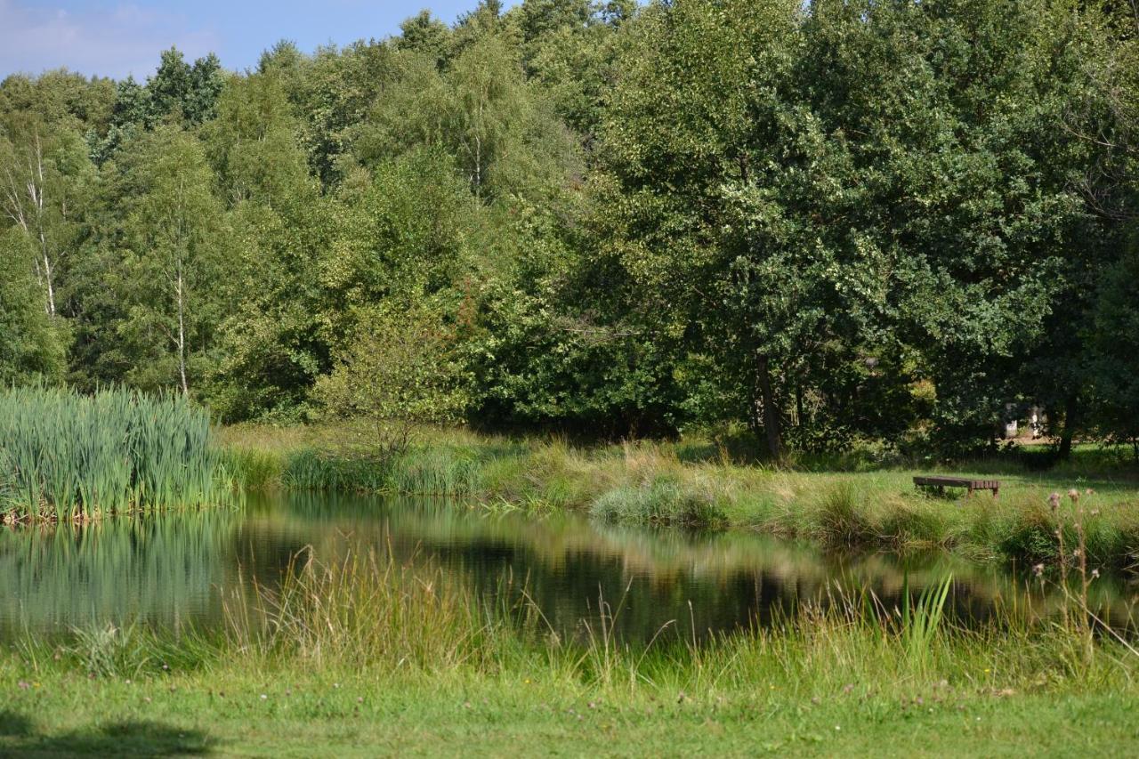 Ferienparadies Muehlenbach ゾルタウ エクステリア 写真