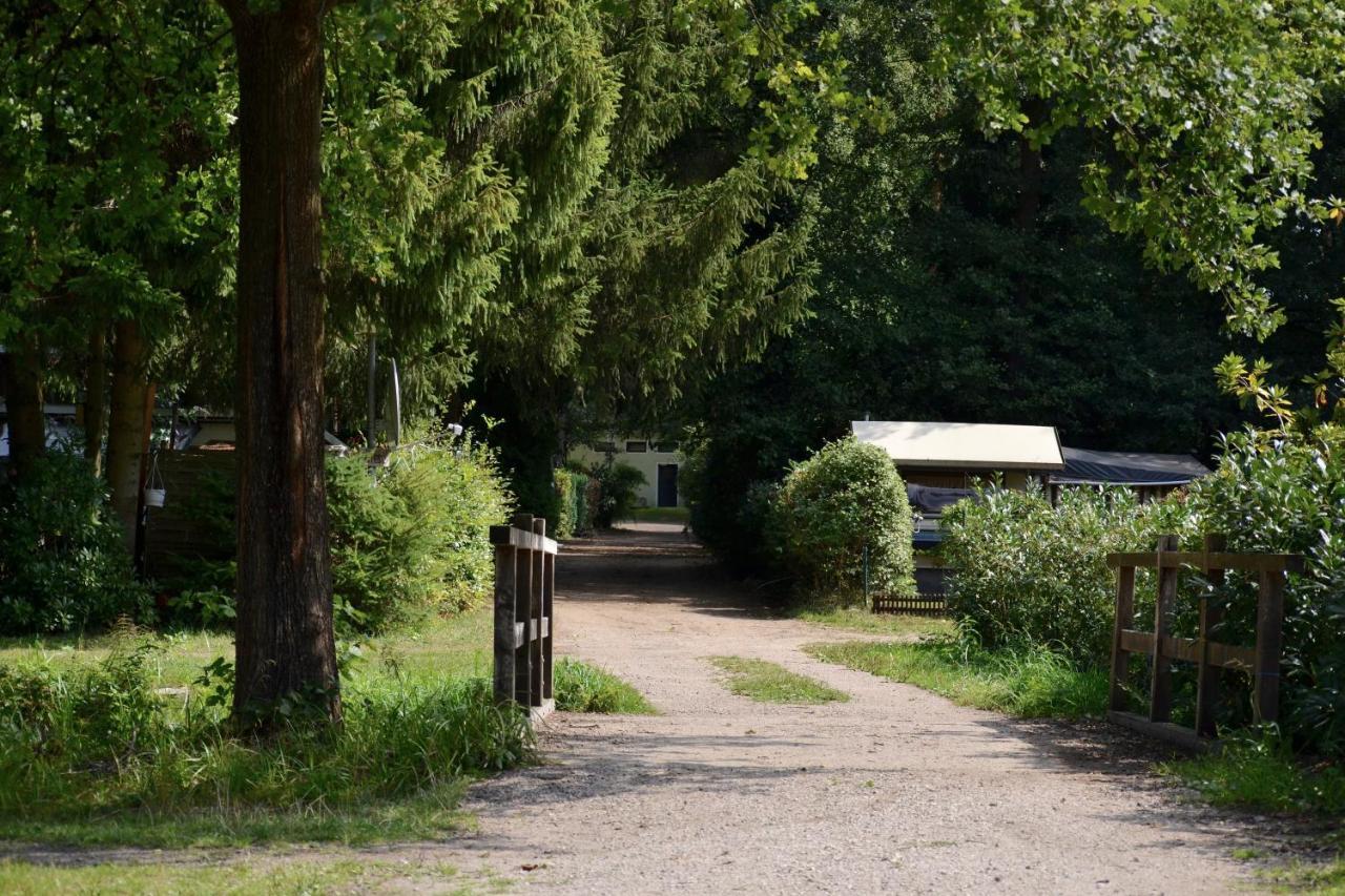 Ferienparadies Muehlenbach ゾルタウ エクステリア 写真