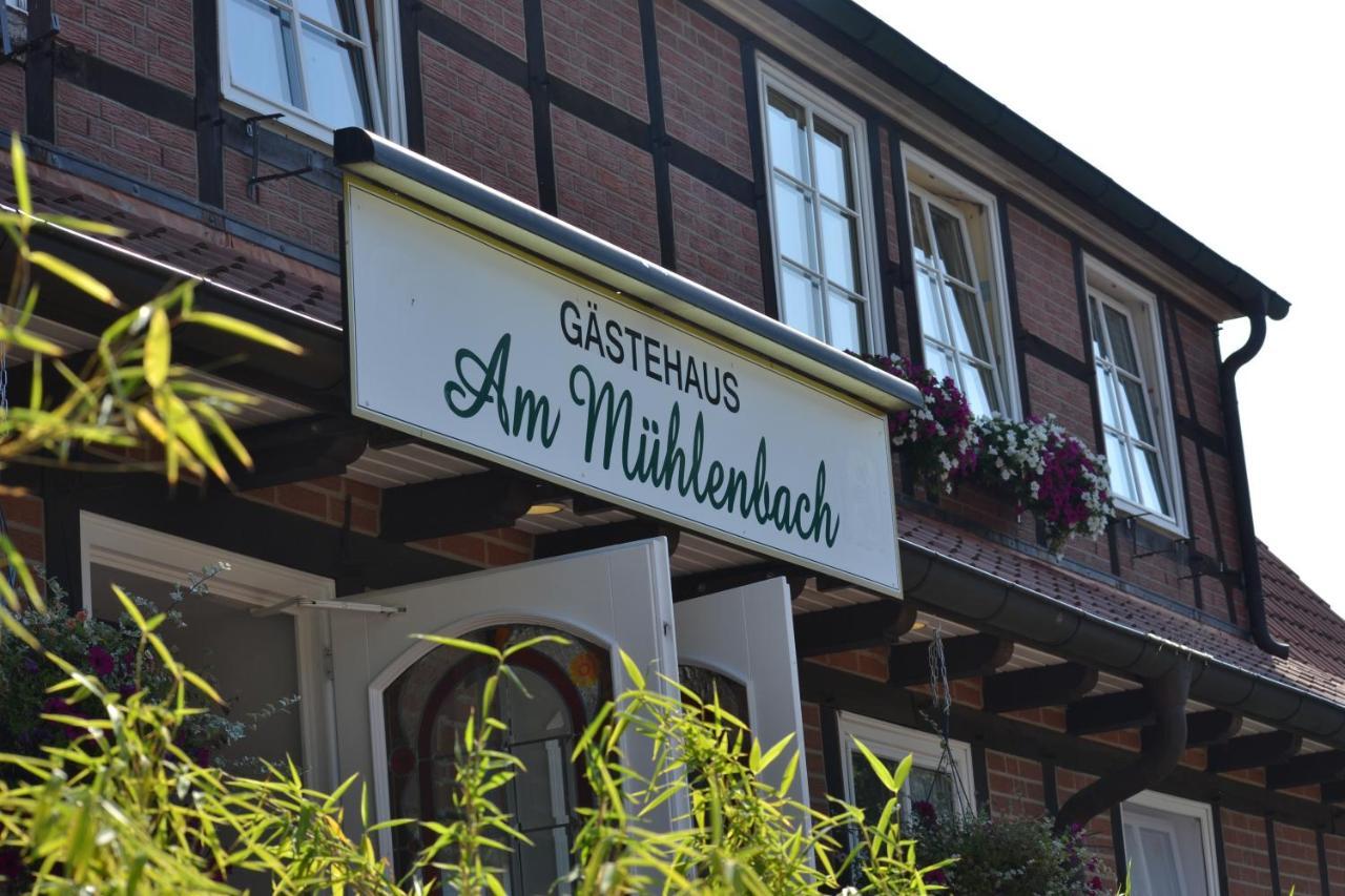 Ferienparadies Muehlenbach ゾルタウ エクステリア 写真