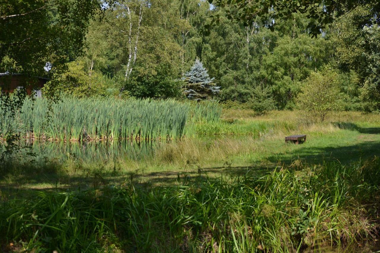 Ferienparadies Muehlenbach ゾルタウ エクステリア 写真