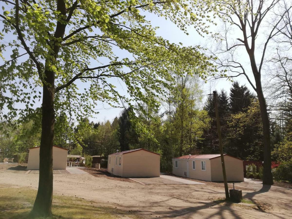 Ferienparadies Muehlenbach ゾルタウ エクステリア 写真