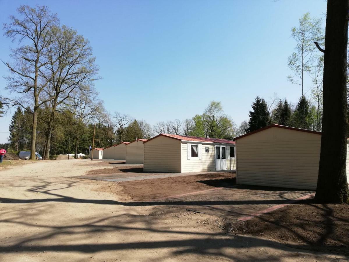 Ferienparadies Muehlenbach ゾルタウ エクステリア 写真